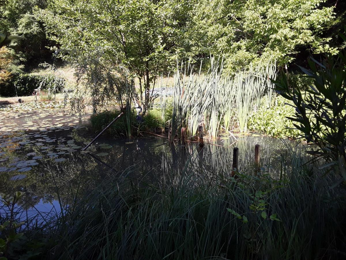 Le Chalet De La Grenouille Verte Tursac Zewnętrze zdjęcie